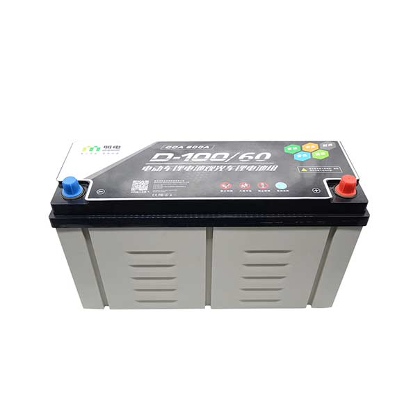 电动车锂电池观光车锂电池组D-100 60