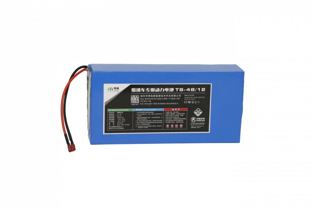 电单车电池 48V/12Ah